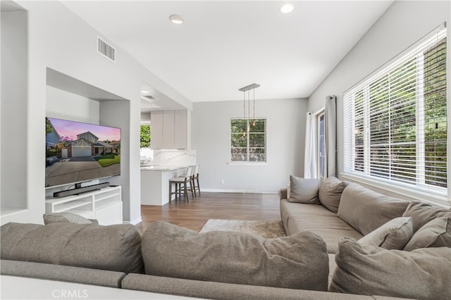 living room with wood-type flooring