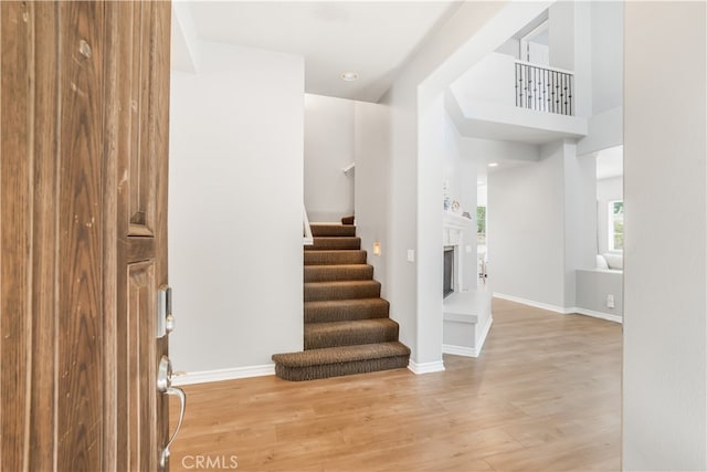 staircase featuring wood-type flooring