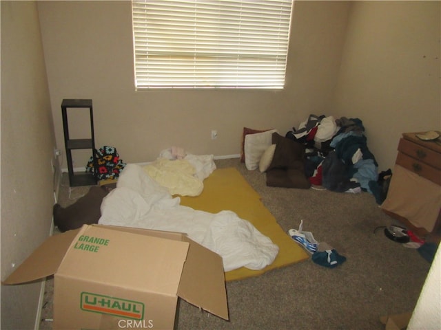 bedroom featuring carpet floors