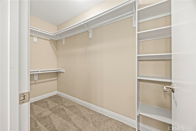 walk in closet with carpet floors