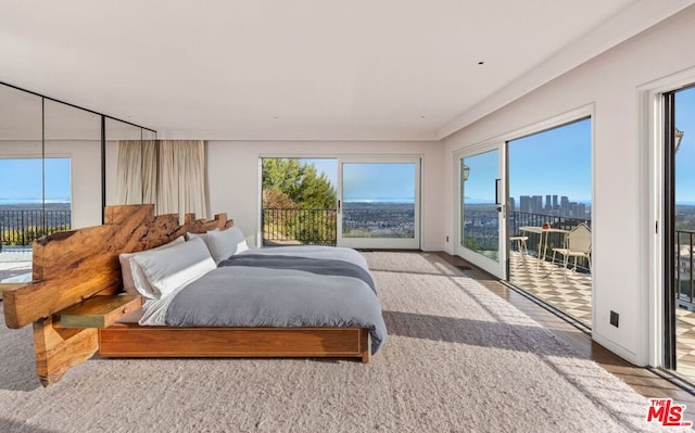 carpeted bedroom featuring access to outside and multiple windows