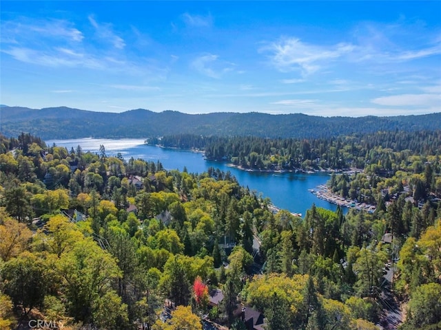 drone / aerial view with a water and mountain view