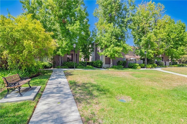 view of property hidden behind natural elements with a front yard