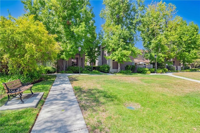 view of front facade with a front lawn