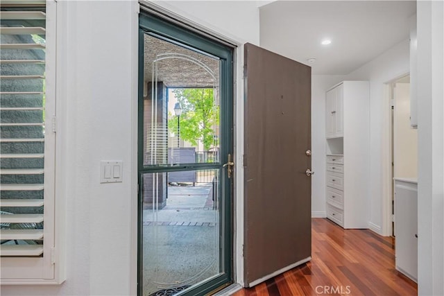 doorway featuring dark wood-type flooring