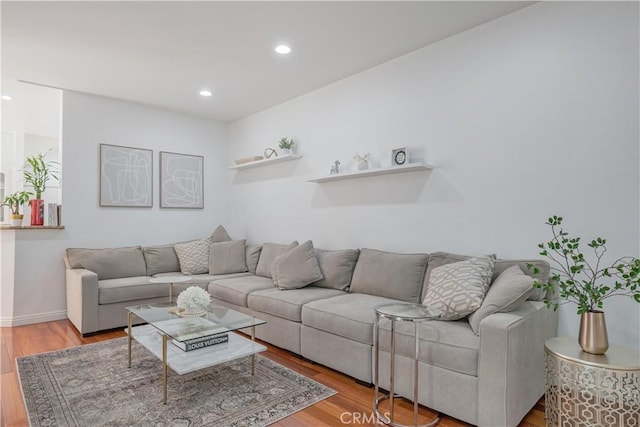 living room featuring wood-type flooring