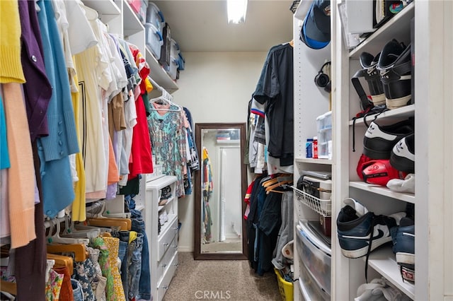 view of walk in closet