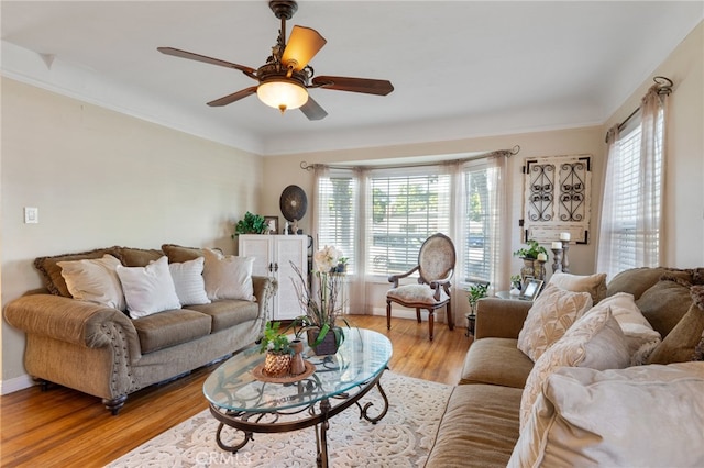 living room featuring ceiling fan, a wealth of natural light, and light hardwood / wood-style flooring