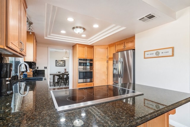 kitchen featuring dark stone counters, a tray ceiling, sink, kitchen peninsula, and appliances with stainless steel finishes