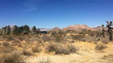 7494 Mojave Tropico Rd, Mojave CA, 93501 land for sale