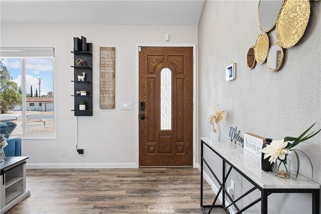 entrance foyer featuring a healthy amount of sunlight and dark hardwood / wood-style floors