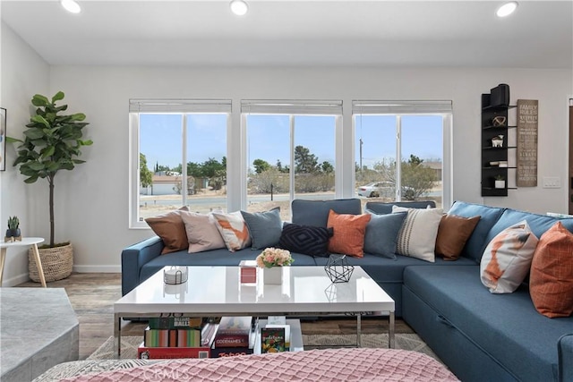 living room with hardwood / wood-style floors