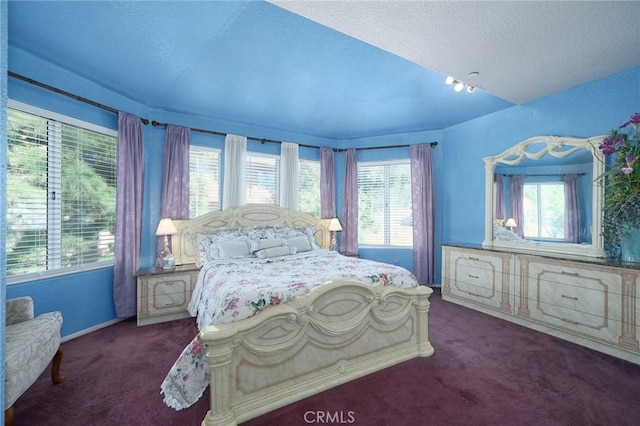 carpeted bedroom with a textured ceiling