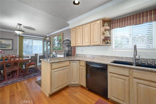 kitchen featuring black dishwasher, light hardwood / wood-style flooring, plenty of natural light, and sink