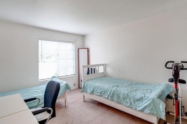 bedroom featuring carpet flooring