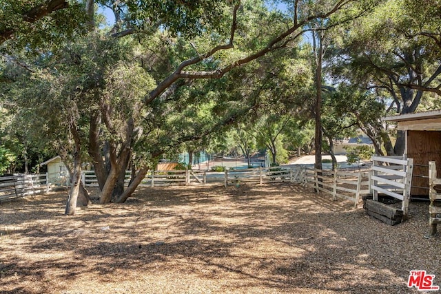 view of yard featuring an outbuilding