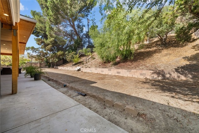 view of yard with a patio