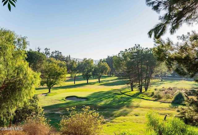 view of property's community with a yard