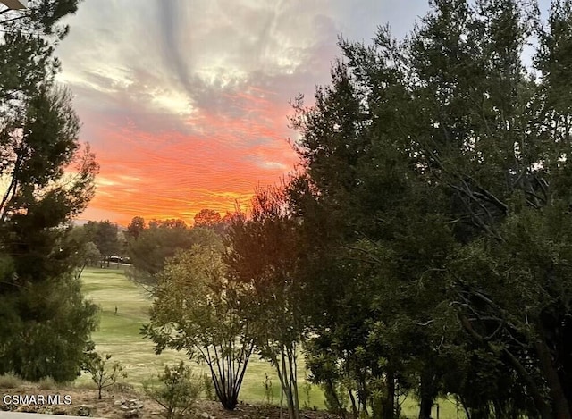 view of nature at dusk