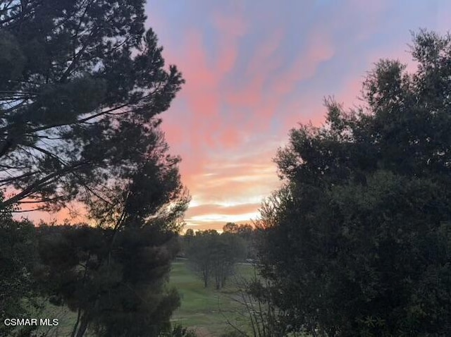 view of nature at dusk