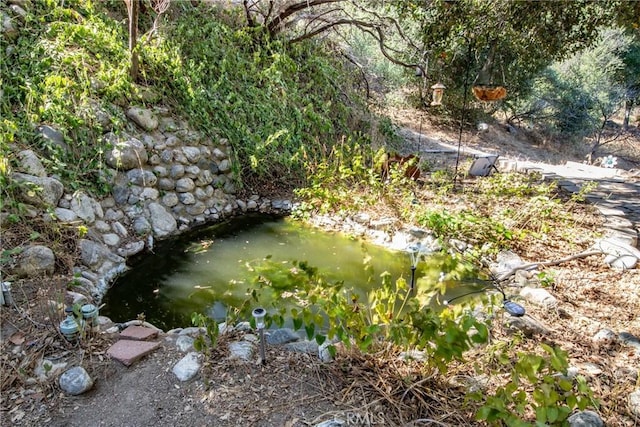 view of local wilderness