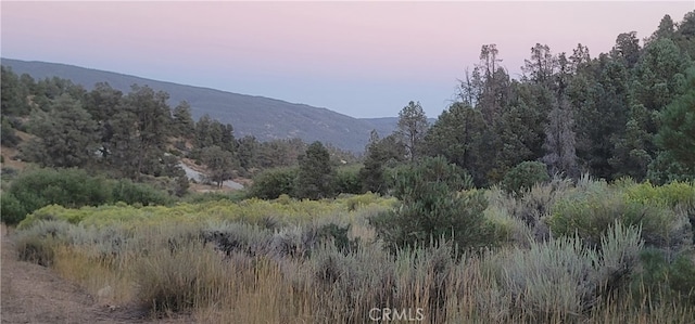 32897 Seymour Canyon Rd, Frazier Park CA, 93225 land for sale