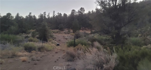 Listing photo 3 for 32897 Seymour Canyon Rd, Frazier Park CA 93225