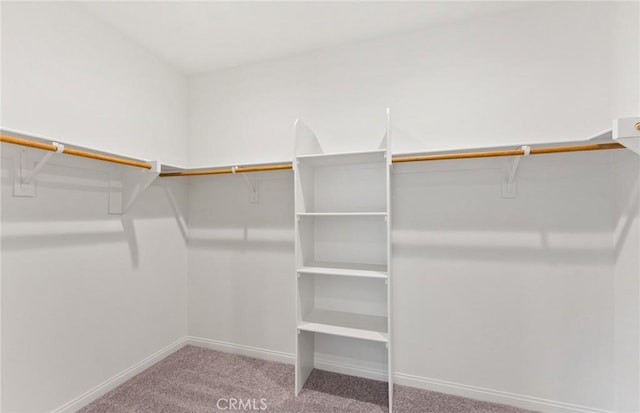 walk in closet featuring light colored carpet