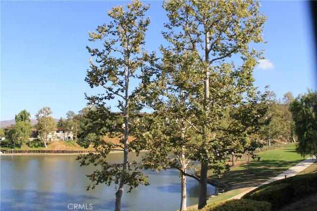 view of water feature