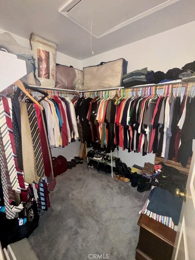 walk in closet with carpet