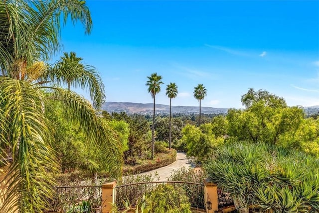 property view of mountains