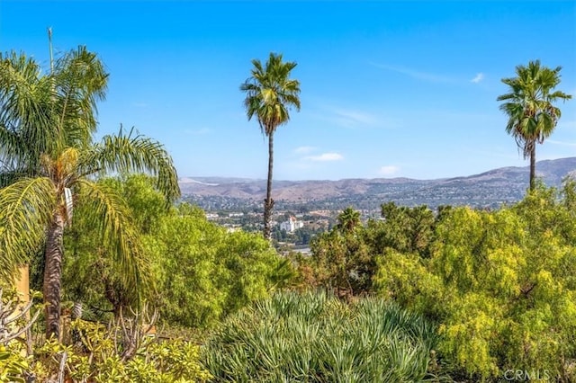 property view of mountains