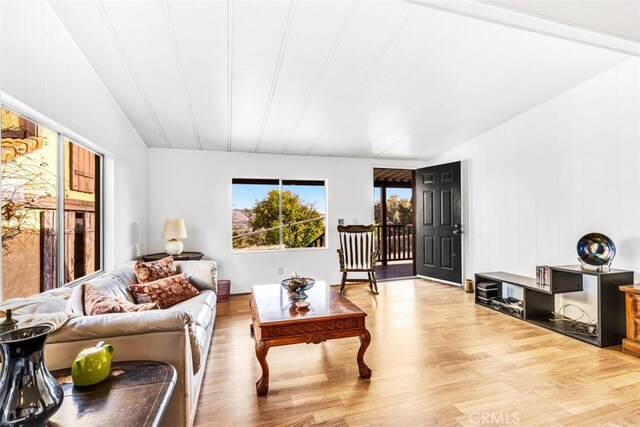 living room with light wood-type flooring