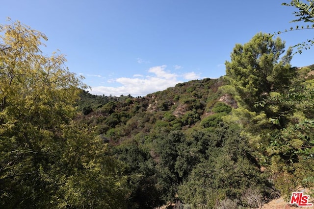 property view of mountains