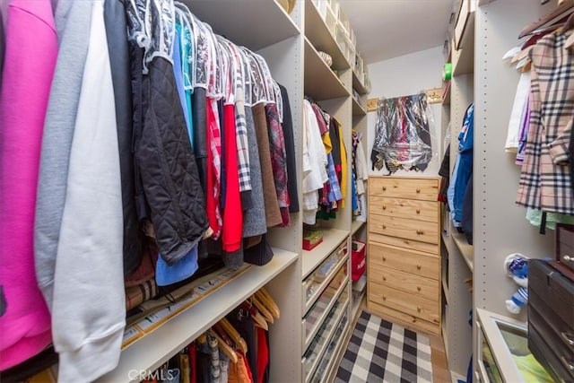 view of walk in closet