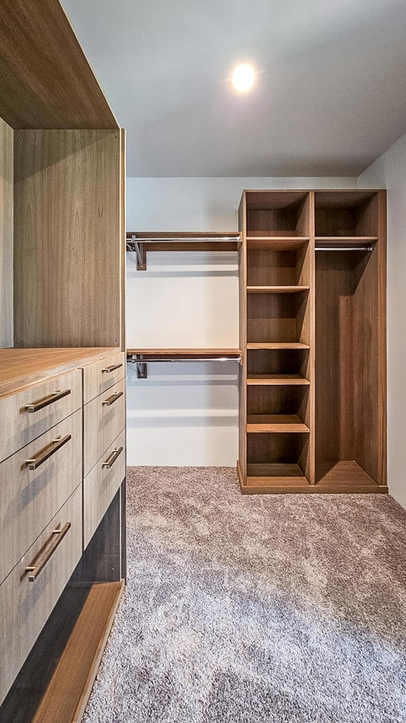 spacious closet with carpet