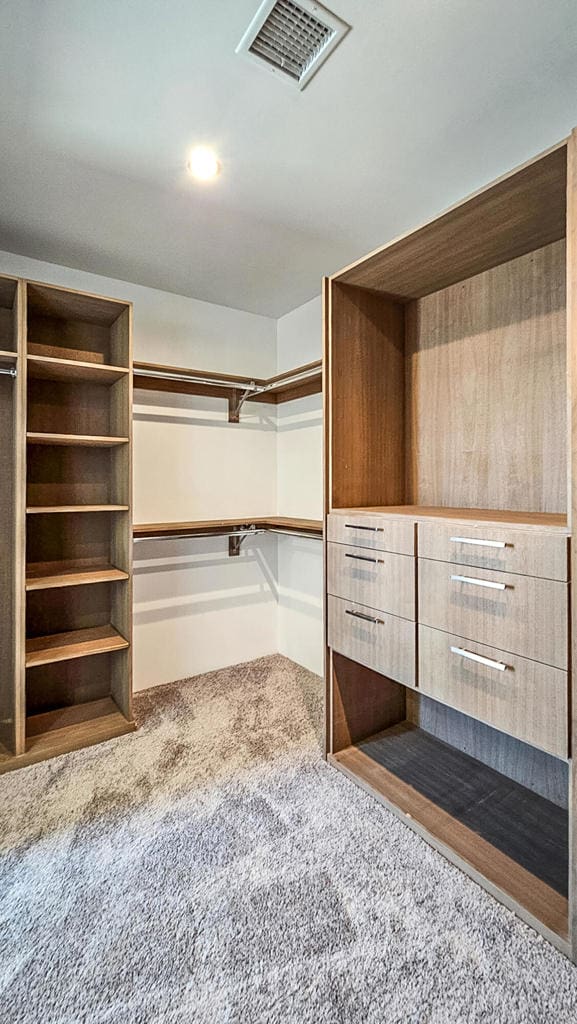 spacious closet featuring carpet flooring