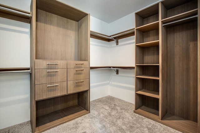 walk in closet featuring light colored carpet