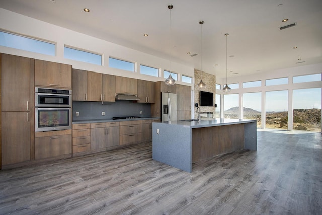 kitchen with pendant lighting, an island with sink, decorative backsplash, appliances with stainless steel finishes, and hardwood / wood-style floors