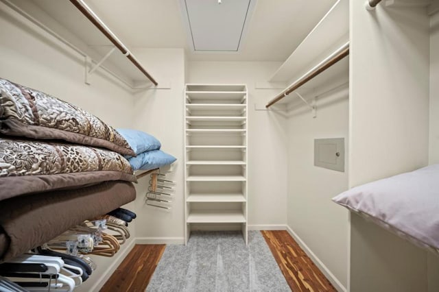 spacious closet with hardwood / wood-style floors