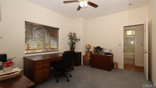 carpeted home office featuring ceiling fan and a wealth of natural light