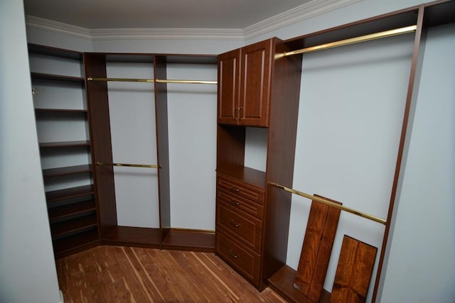 walk in closet with dark wood-type flooring