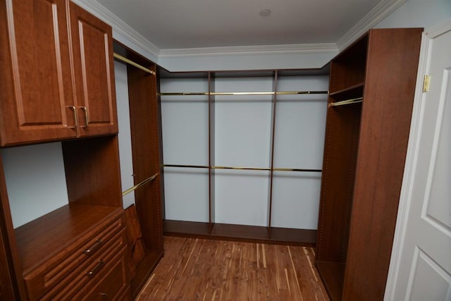 walk in closet featuring wood-type flooring