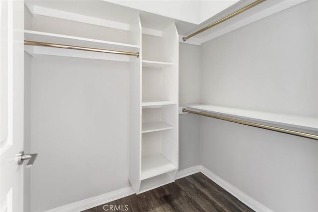 walk in closet featuring dark hardwood / wood-style flooring