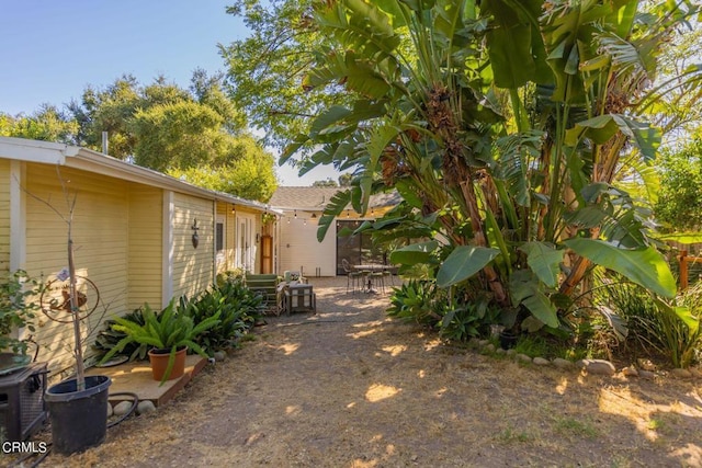 view of yard featuring a patio area