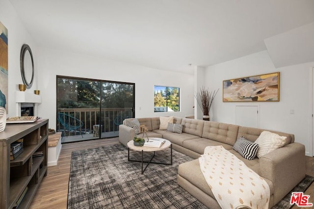 living room with hardwood / wood-style flooring