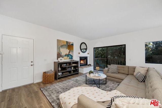 living room featuring wood-type flooring