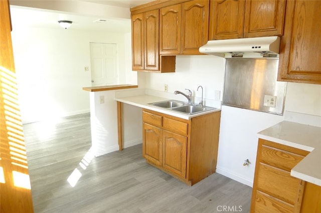 kitchen with light wood-type flooring and sink