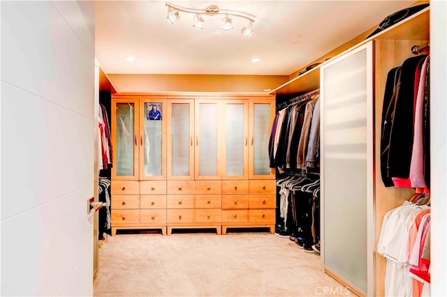 walk in closet with light carpet