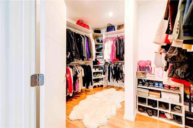 spacious closet with hardwood / wood-style floors